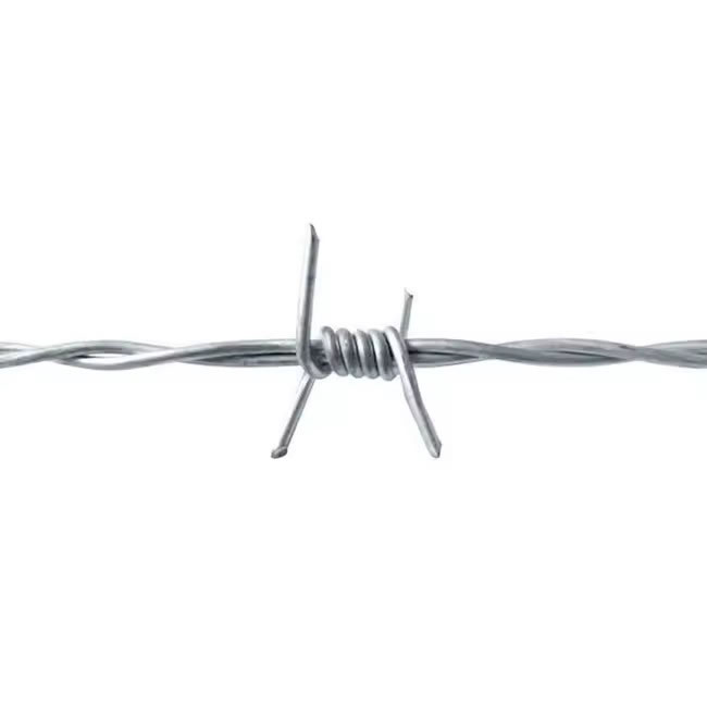 Galvanized Barbed Wire