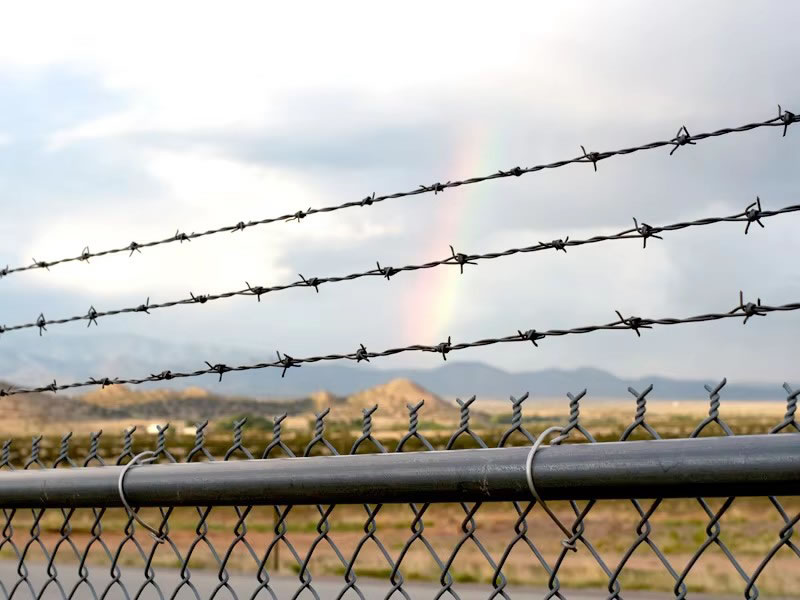 Barbed wire razor(pic1)