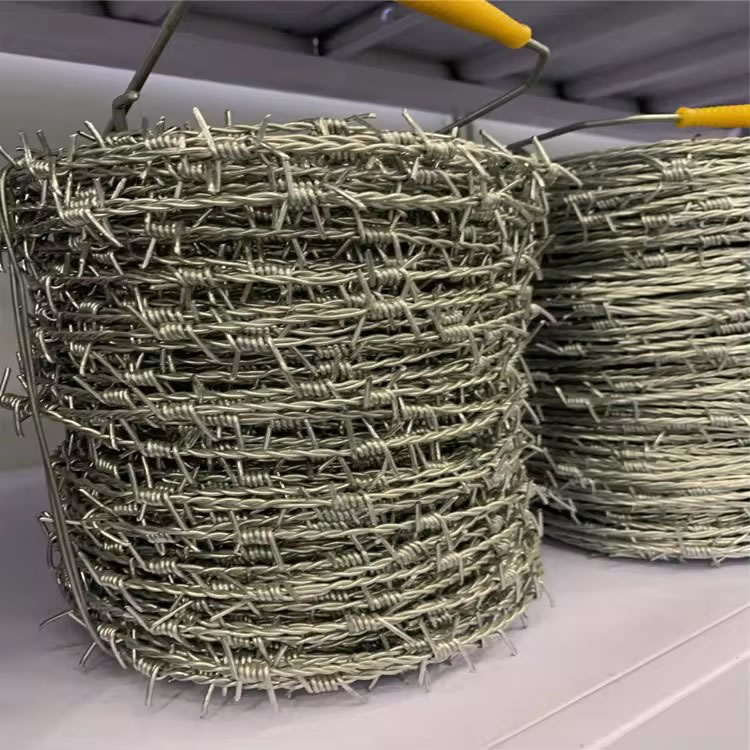 Galvanized Barbed Wire