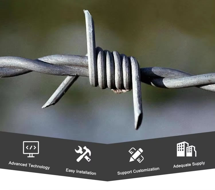 Hot Dipped Galvanized Barbed Wire(pic1)