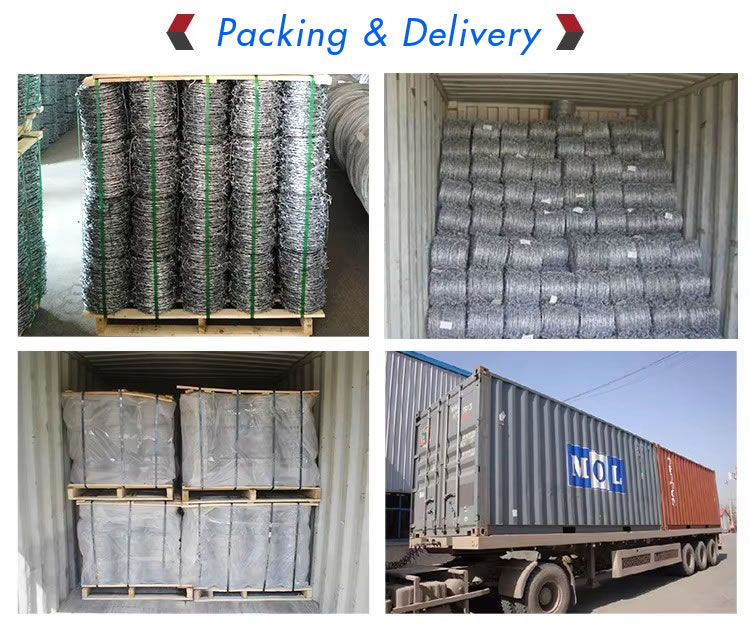 Hot Dipped Galvanized Barbed Wire(pic7)