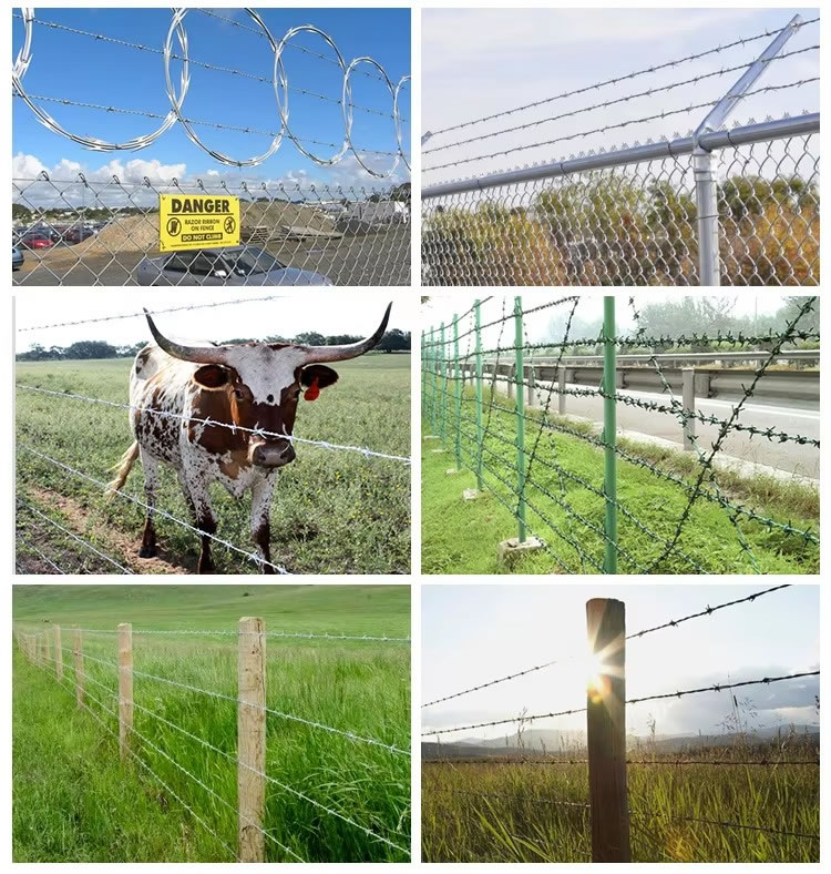 Hot Dipped Galvanized Barbed Wire(pic6)